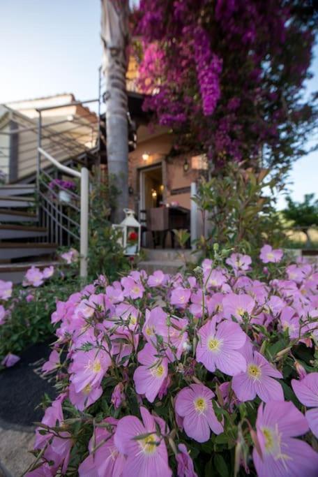 Bougainvillea House 1 Kalamata Exteriér fotografie